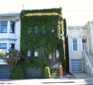 Illustration for article titled The Most Colorful Houses Engulfed in Vegetation